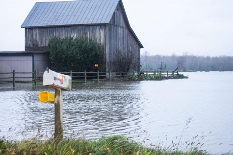 Floodwaters from the rising Skagit River on Sterling Road in Sedro-Woolley, Monday, November 15, 2021