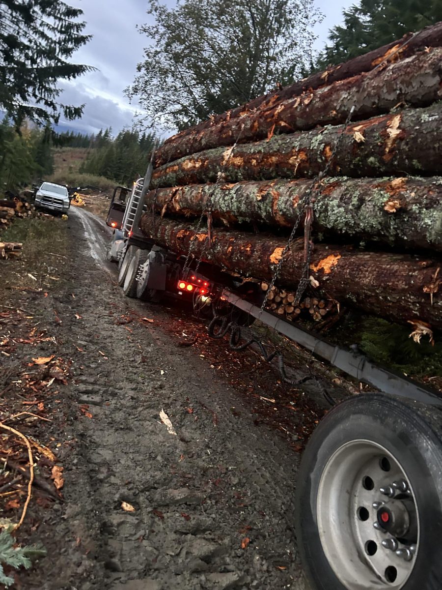 Curtis Jackson hauls a massive load of lumber down Blue Mountain early in the morning. 