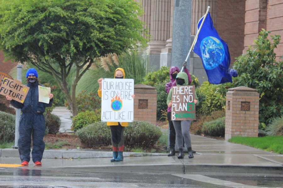 Moses Marlin (left), Anja Roozen, Zoe Slabodnik and Karen Russell are seen holding signs in front of the Mount Vernon courthouse.