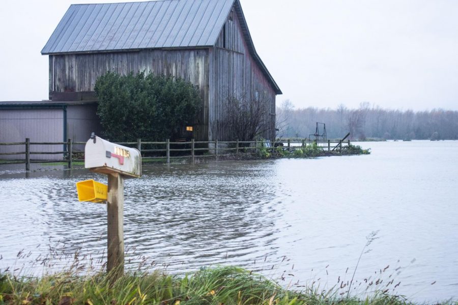 Floodwaters+from+the+rising+Skagit+River+on+Sterling+Road+in+Sedro-Woolley%2C+Monday%2C+November+15%2C+2021