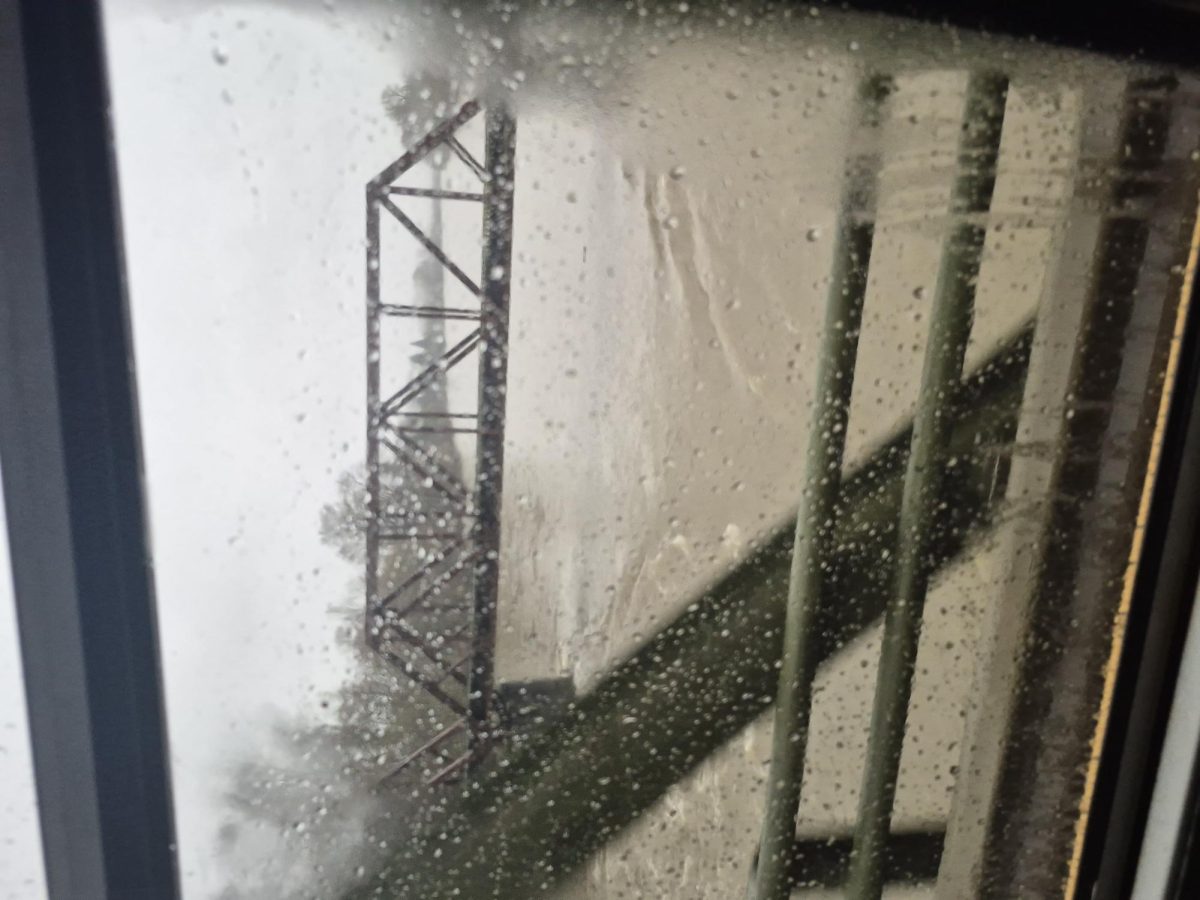 Skagit River between Sedro-Woolley and Clear Lake on 12/10/25