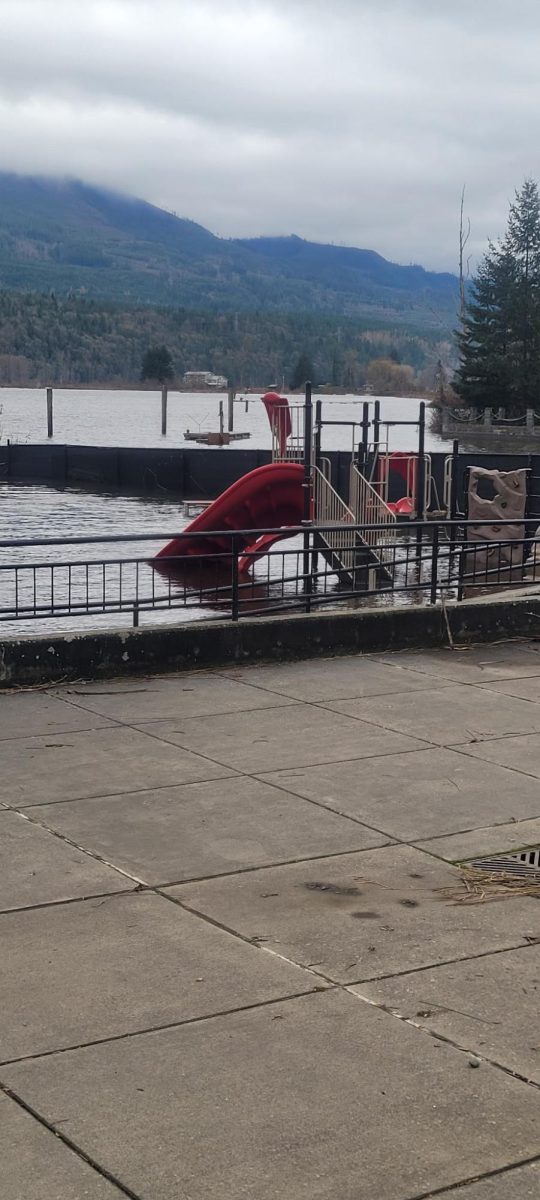 Clear lake park at the lake on 12/14/25