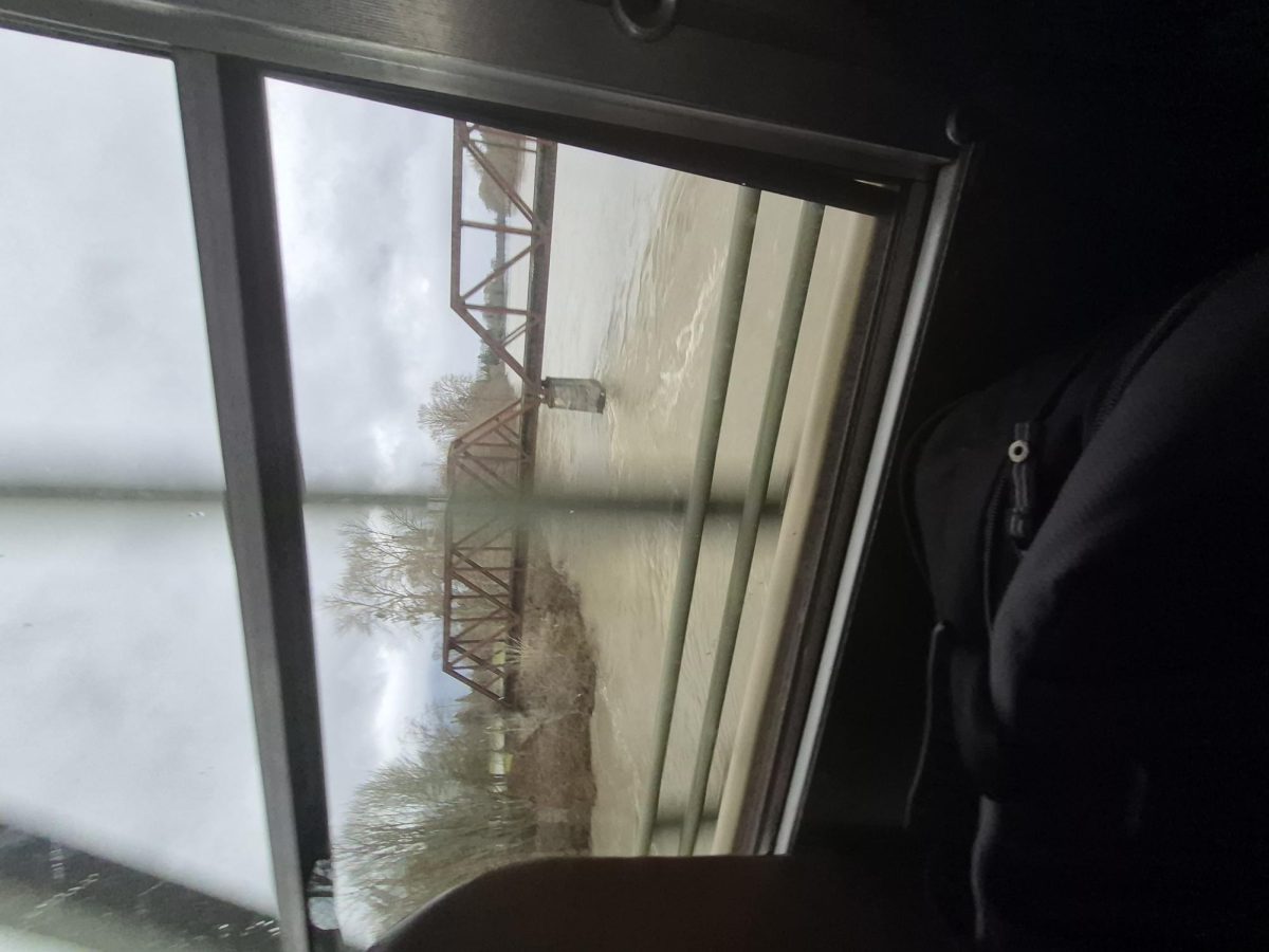 Skagit River between Sedro-Woolley on 12/18/25