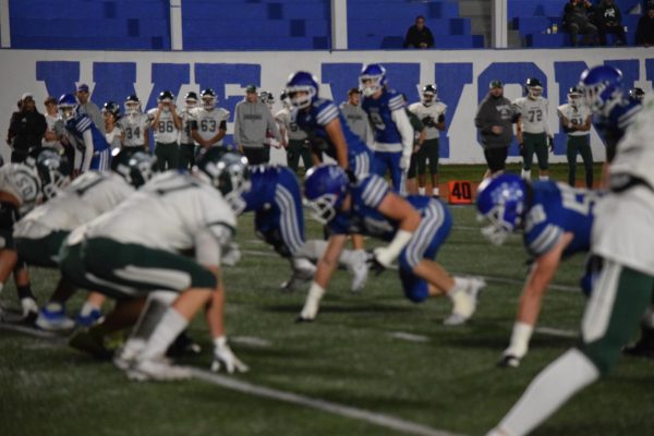 Cub's Team Bond Brings Big Wins